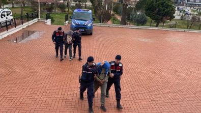 Ayvalık ve Dikili'de Göçmen Kaçakçılığı Operasyonu: 2 Tutuklama